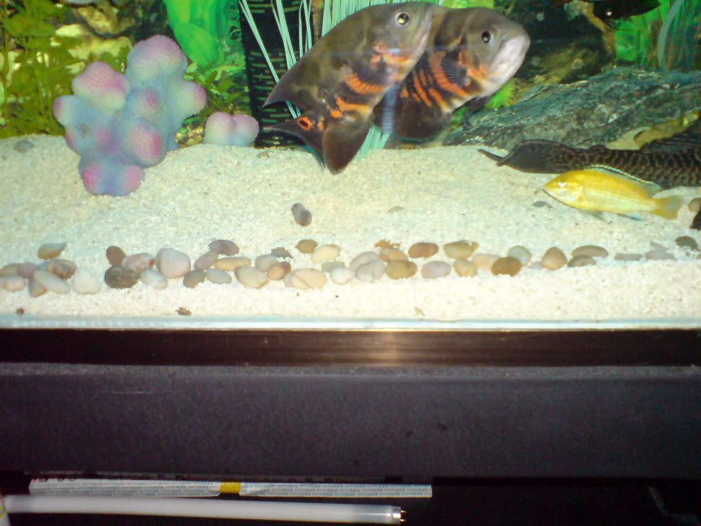 DSC00027_edited.jpg