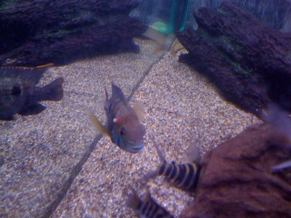 IMG_0205.jpg