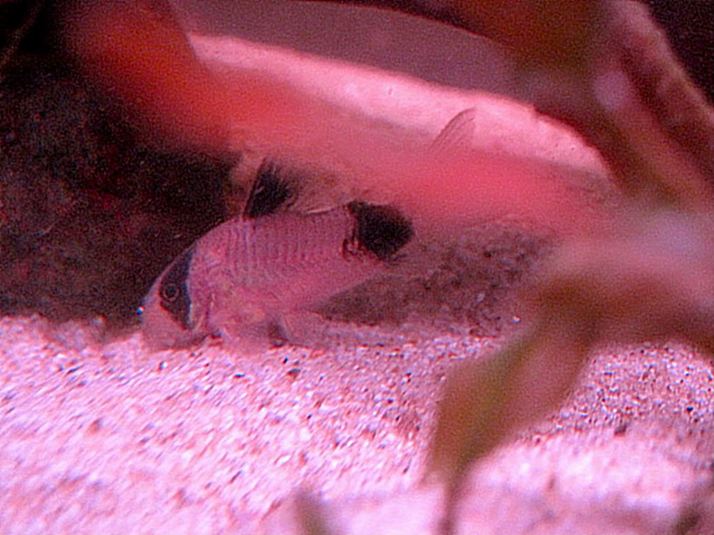 IMG_4493.jpg