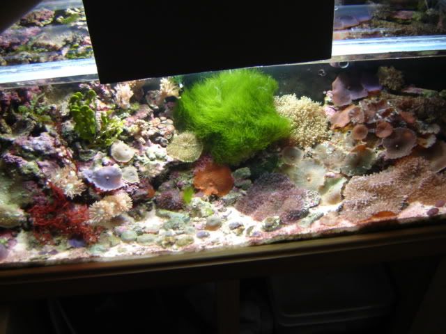 DSC06285.jpg