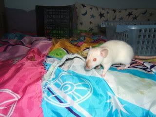 DSCF2591.jpg