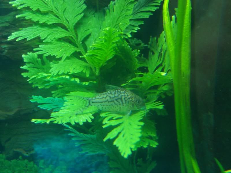 100_0247.jpg