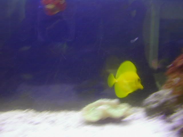 P1010044.jpg