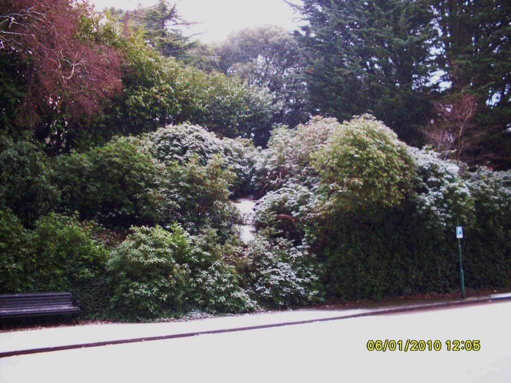 snow2010028.jpg