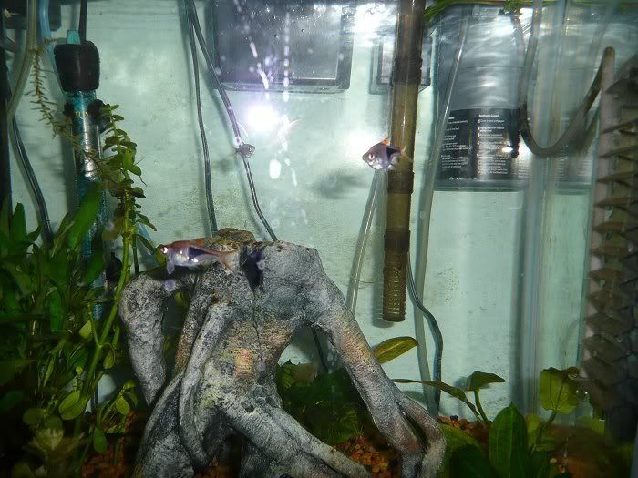 10-7-10.jpg