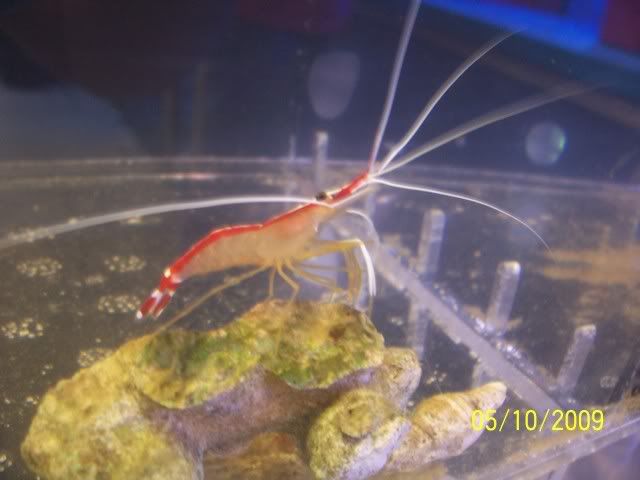 100_6152.jpg