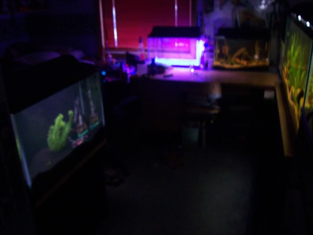 101_8805.jpg