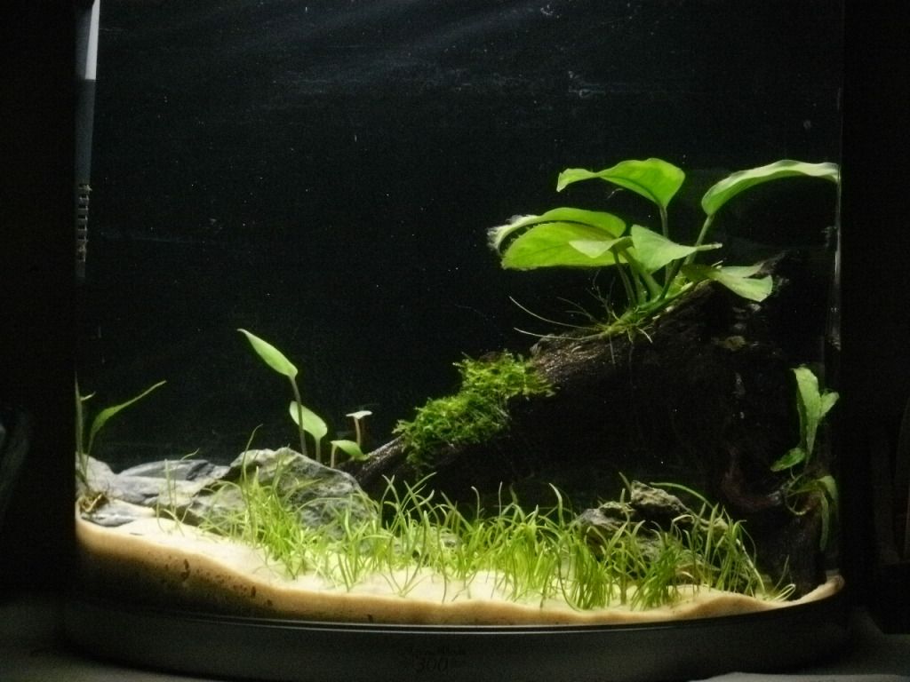 P1010008.jpg