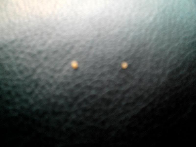 eggs3.jpg