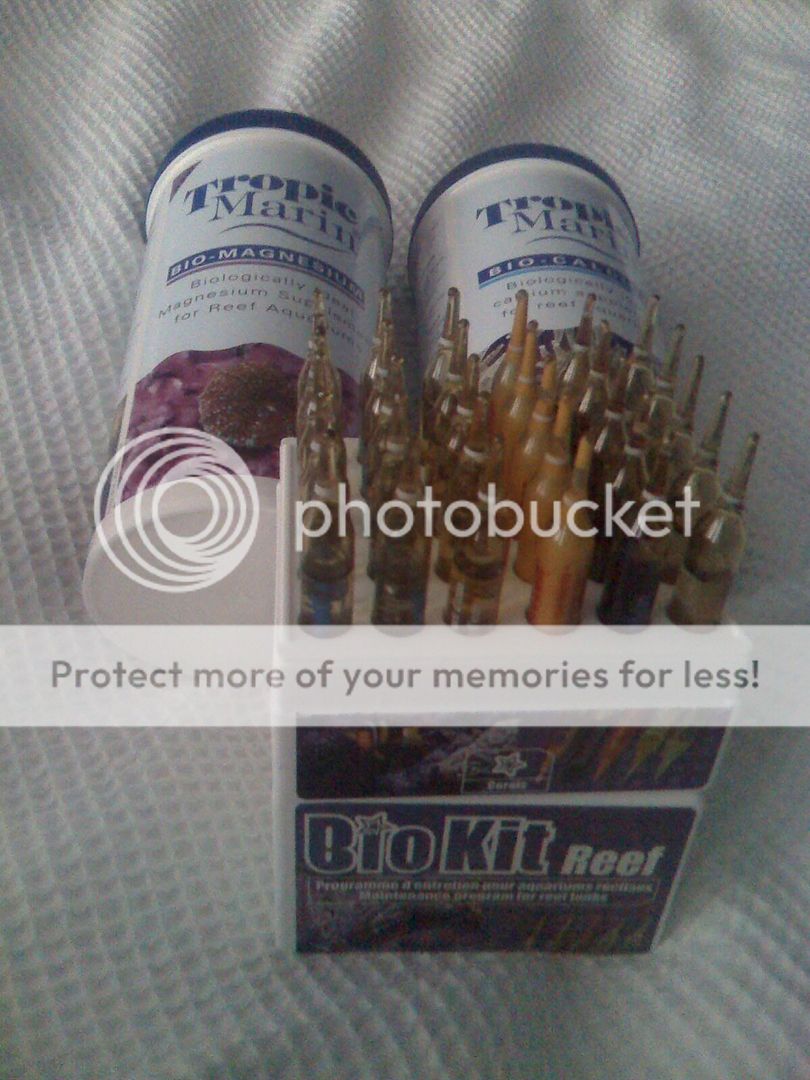 BT_moto_0273.jpg