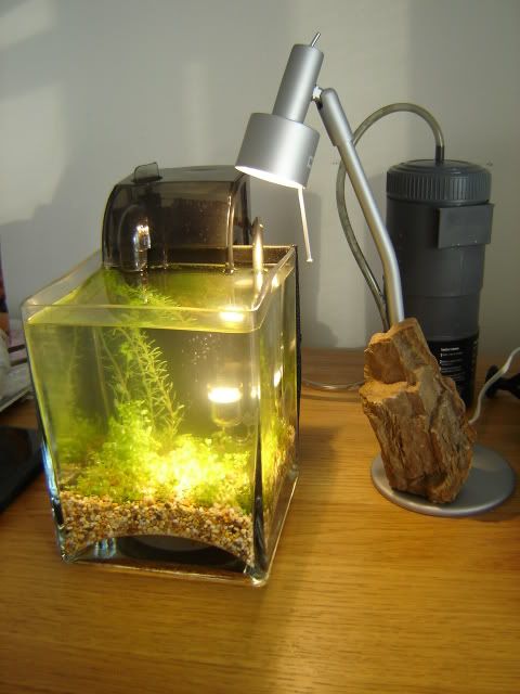 Nano007.jpg