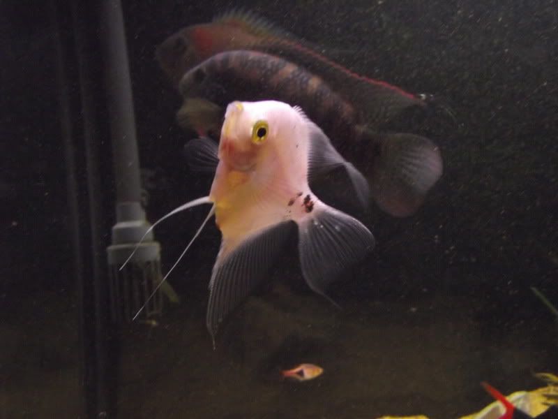DSCF1610.jpg