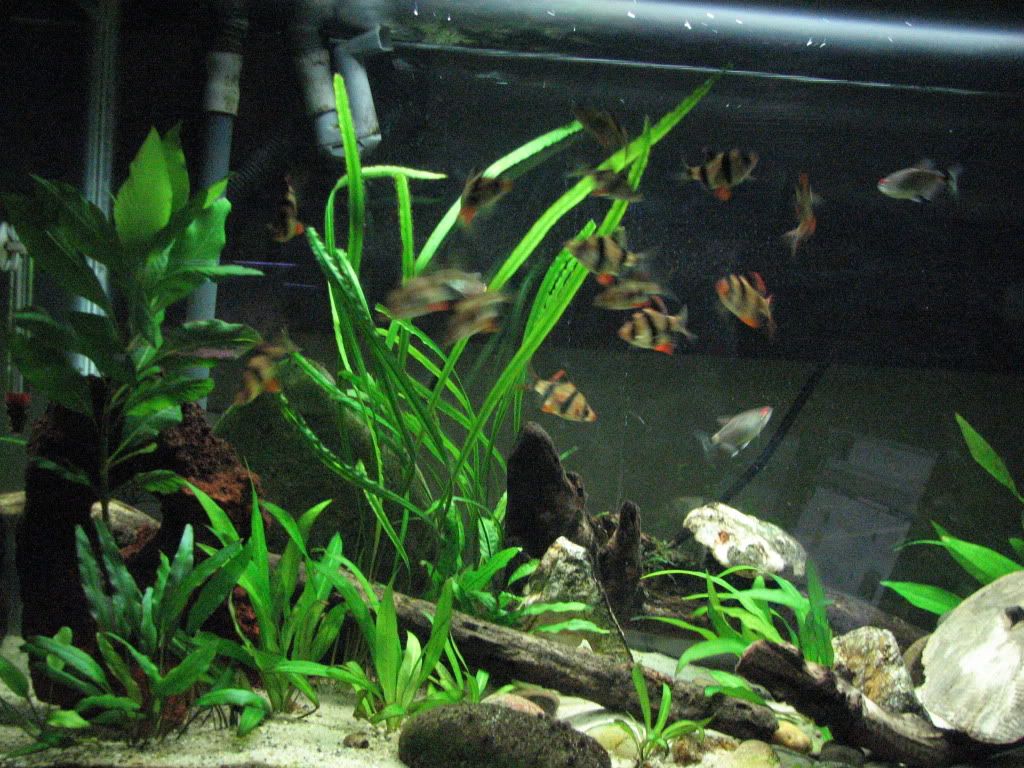df0f3113.jpg