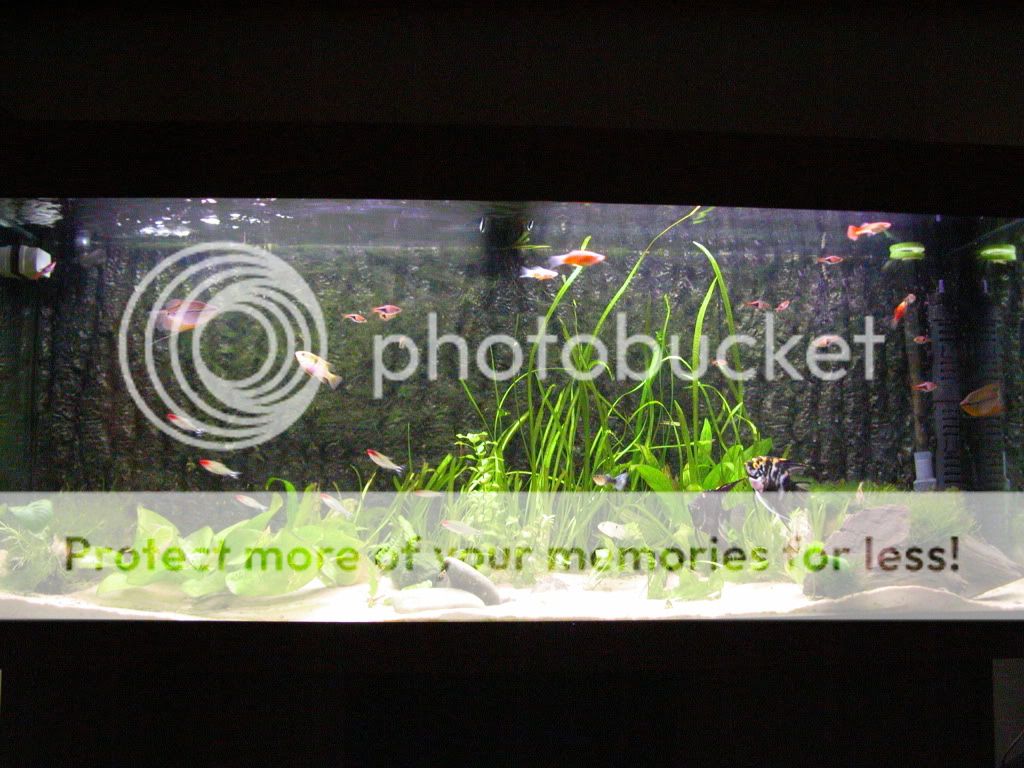 DSCN4248.jpg