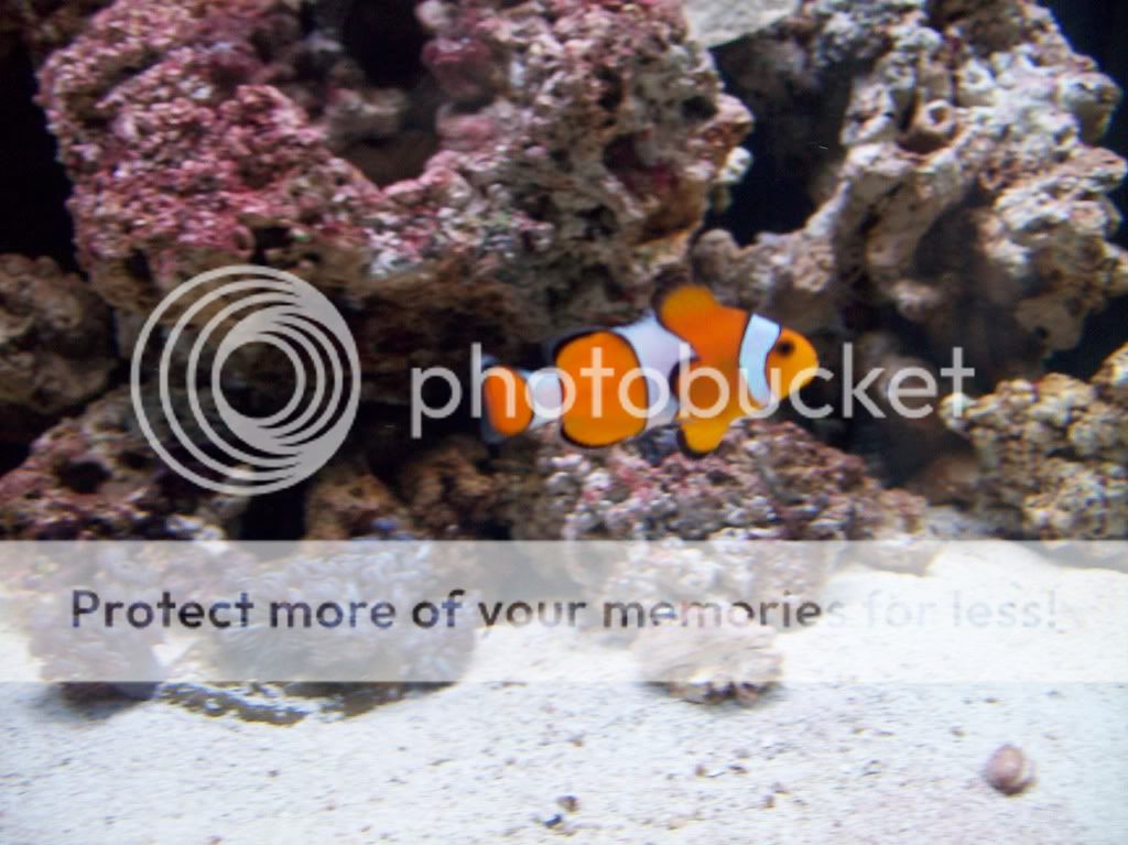 aquarium001.jpg