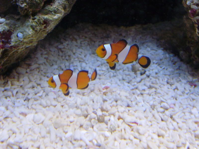 P9230025.jpg