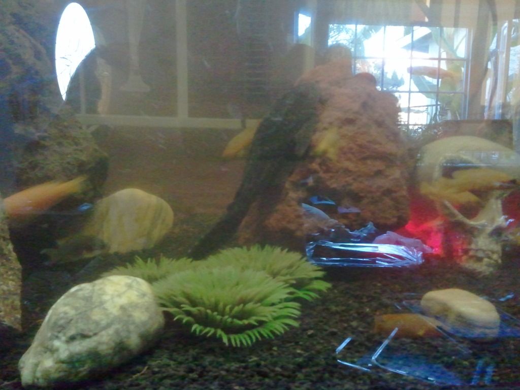 2012-08-08065507.jpg