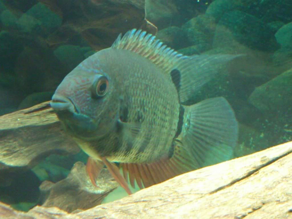 DSC_0028.jpg