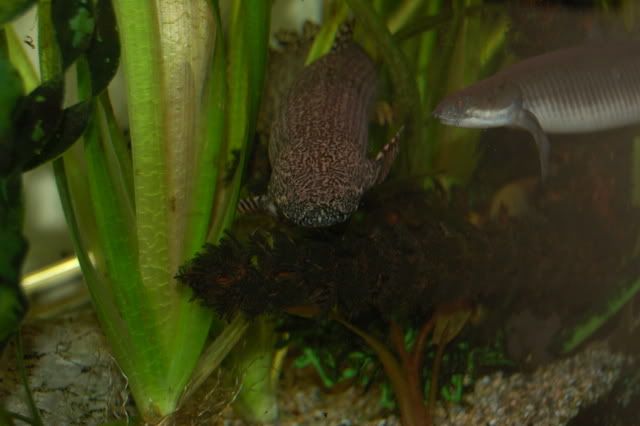 DSC_0561.jpg