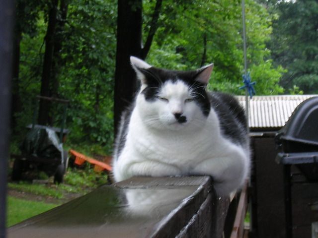 DSCN3028.jpg
