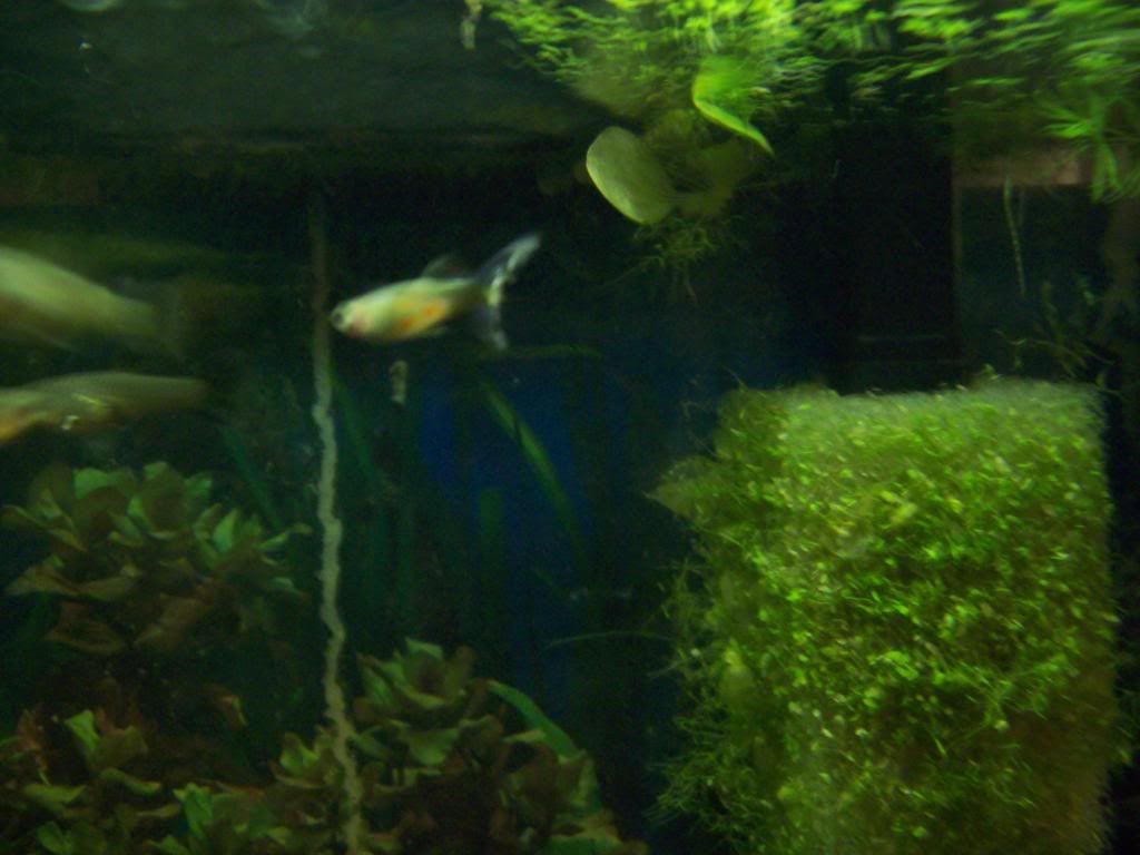 413.jpg