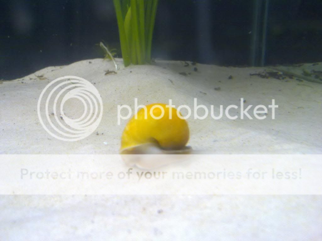 25072009041.jpg