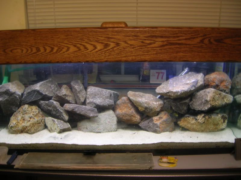 DSCN1178.jpg