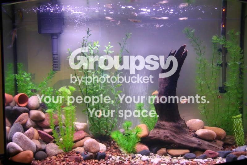 aqua1.jpg