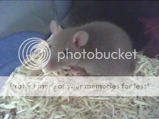 Ellenor_zps10d44a8d.jpg