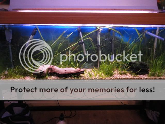 DSC00235.jpg