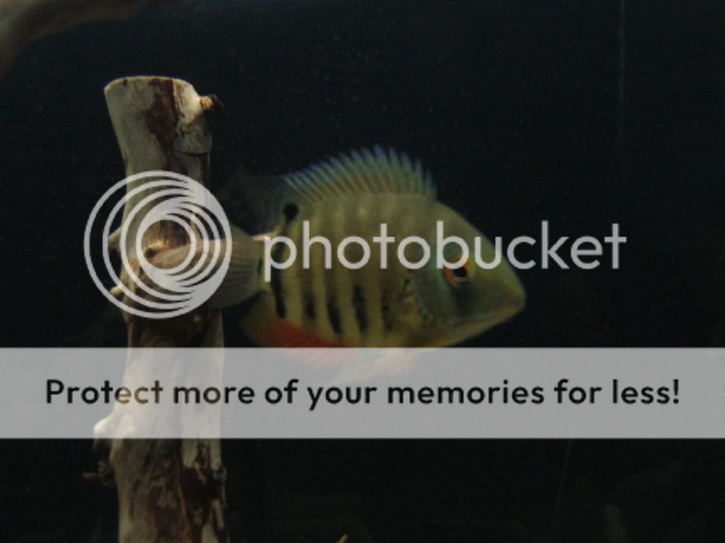 DSCF8096.jpg