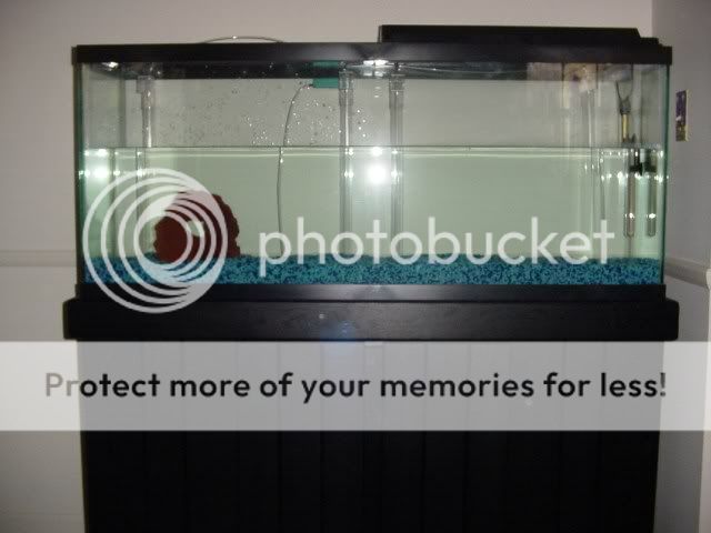 newtank2.jpg