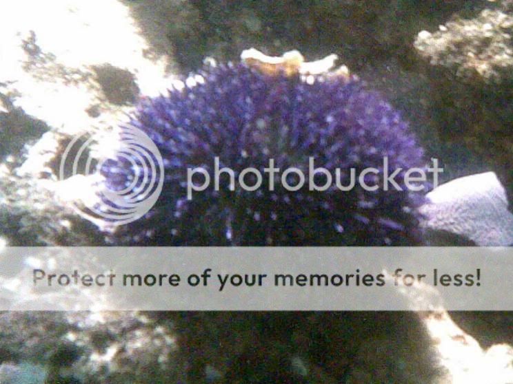 18072006023.jpg
