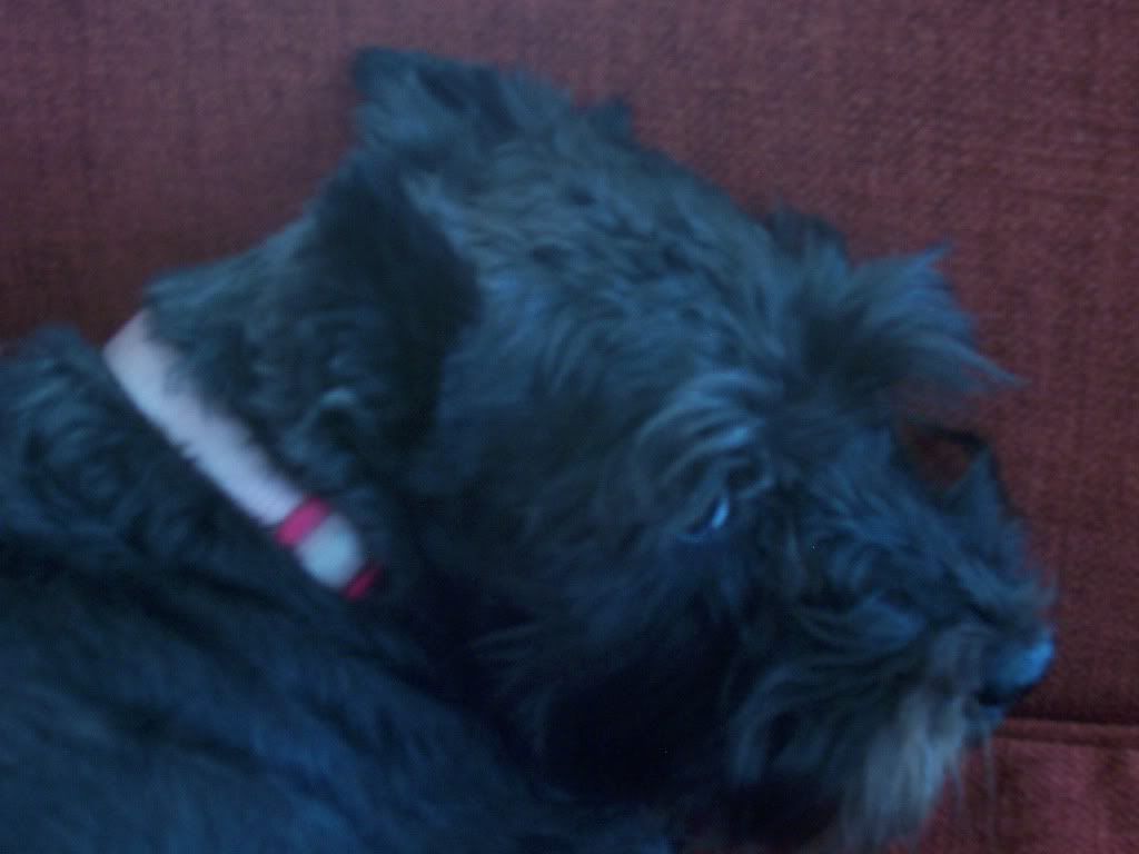 100_0420.jpg