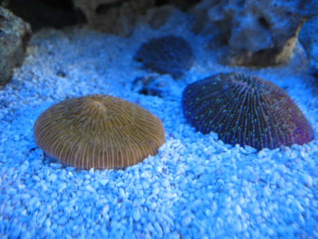 IMG_1641.jpg