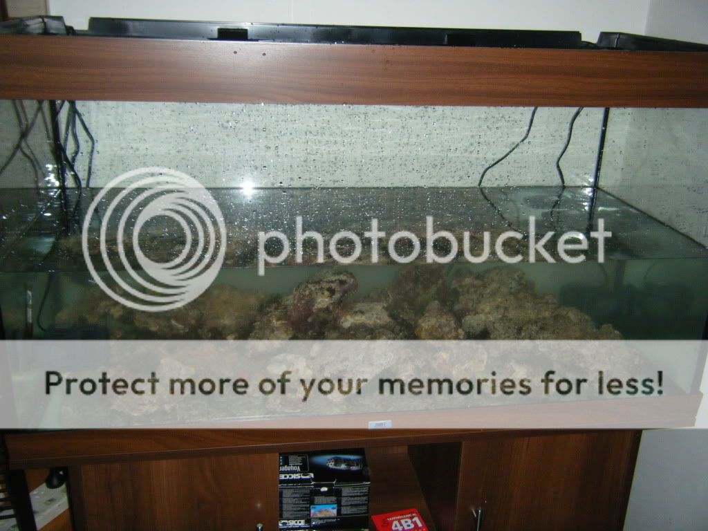 DSCF3268.jpg