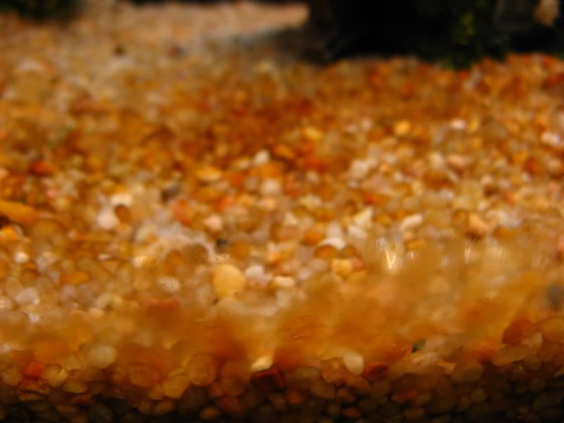 2007-10-15002.jpg