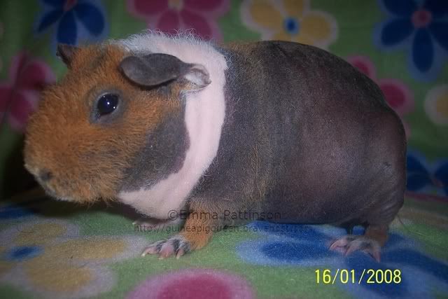 Doris06.jpg