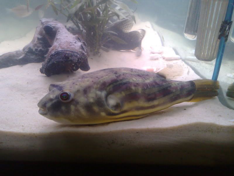 15122008394.jpg