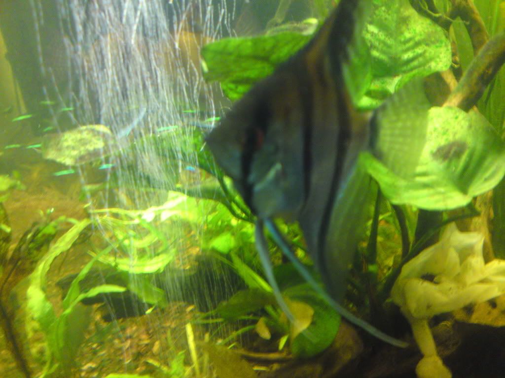 DSC01724.jpg
