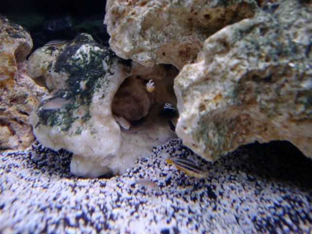DSC01105.jpg