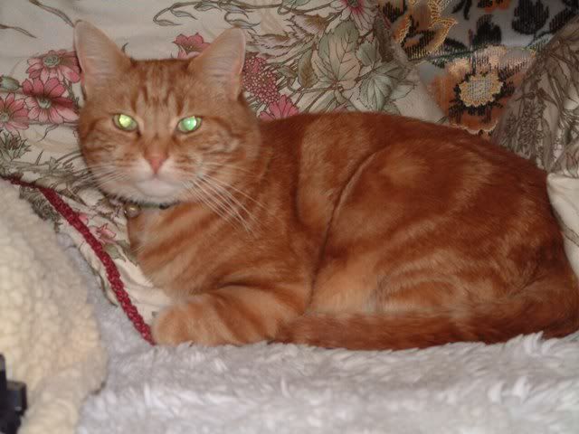DSCF0086.jpg