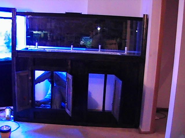PIC_0814.jpg