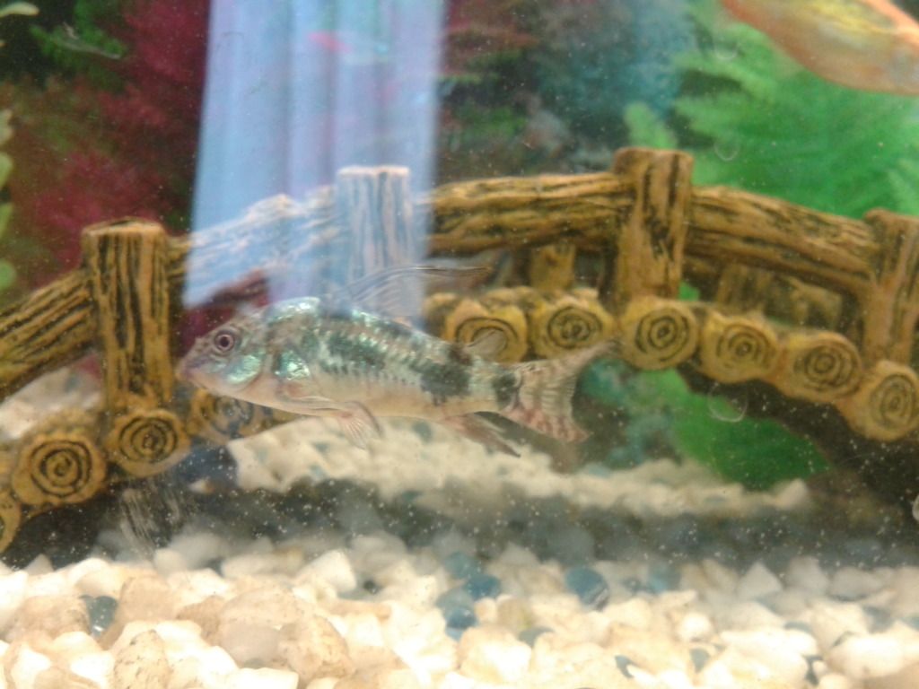 20120926_144414.jpg