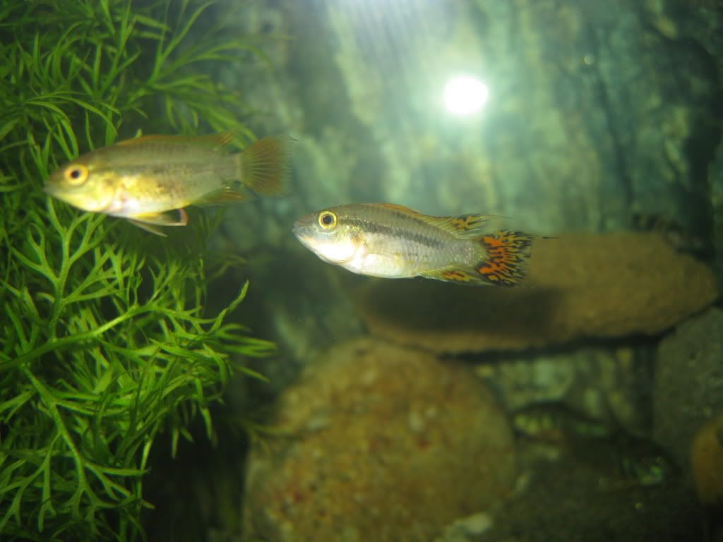 IMG_5498.jpg