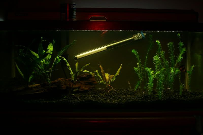 20g1month2.jpg