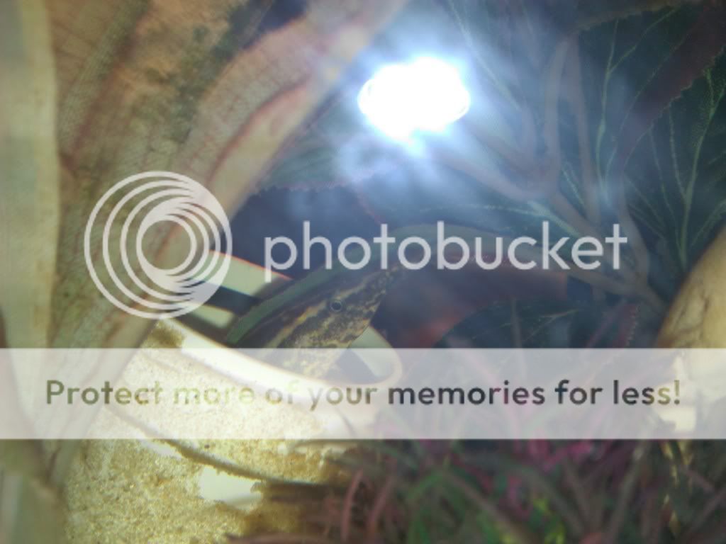 WP_001228.jpg
