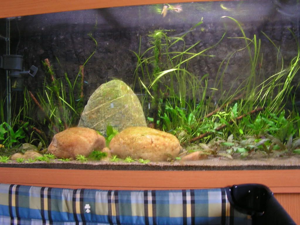 PICT1396.jpg