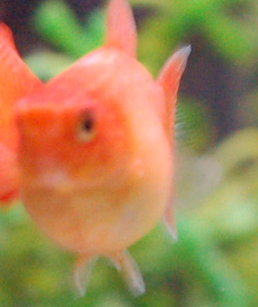 543185319_07a432218f_o.jpg