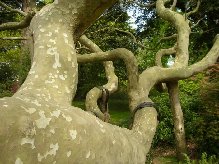 exburygardens052.jpg